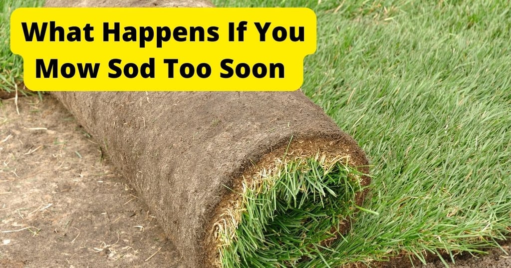 Do pea gravel patios last