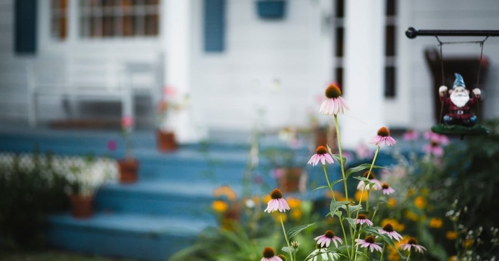 Front Yard Landscaping on a Budget