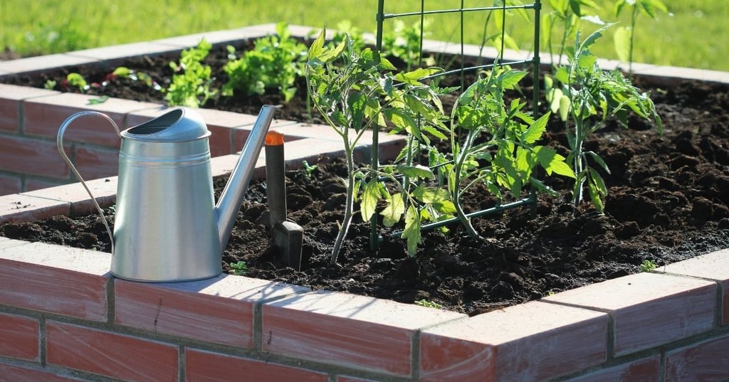 How to Choose the Right Material for Your Raised Bed