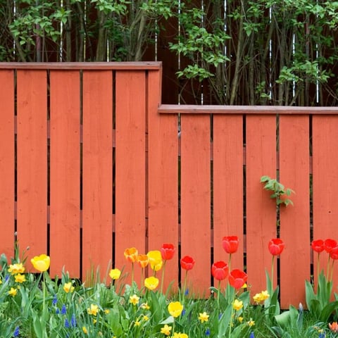 Budget Friendly Ideas for Landscaping a Sloped Backyard 1536×864