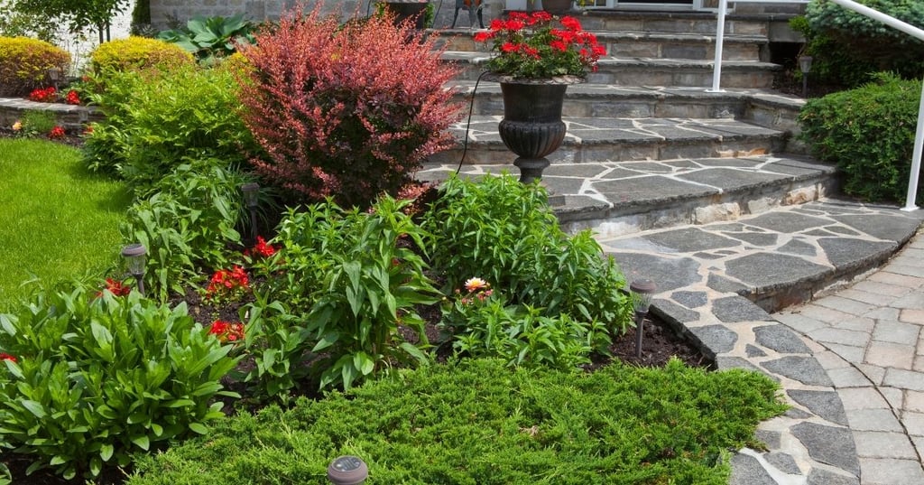 know plants what will thrive in your area