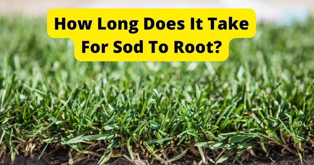 Up the Ambiance with Fireplace Accent Lighting