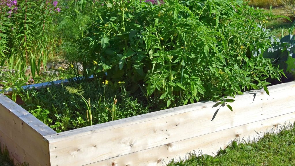 Should you line your raised garden beds