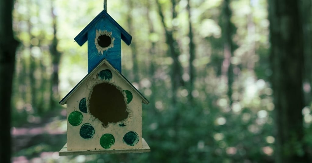 The entrance hole is the wrong size 1