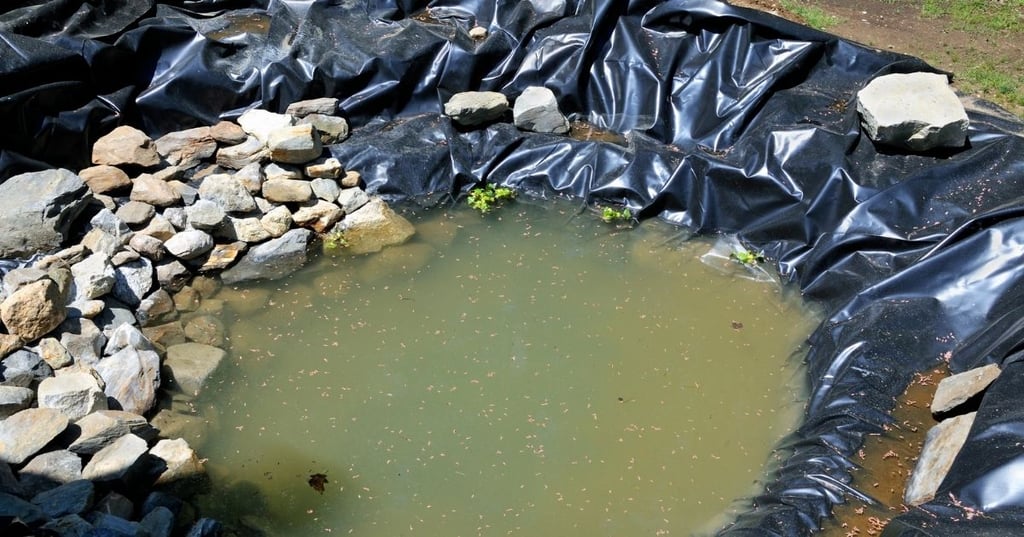 Get tips for the perfect backyard pond liner to make your koi pond dreams come true