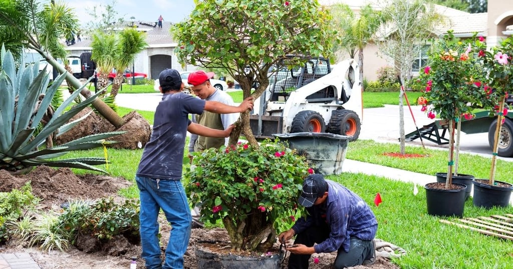 Five easy front yard landscaping ideas that will make your home pop