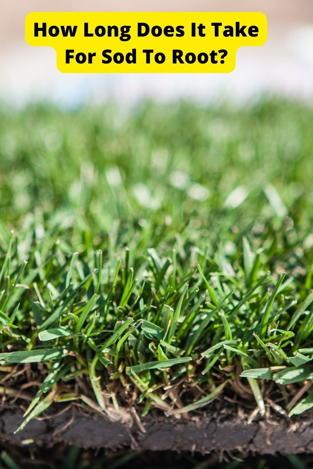 Spruce up your fireplace mantel with some stylish accessories