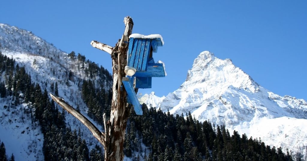 The birdhouse is in bad condition