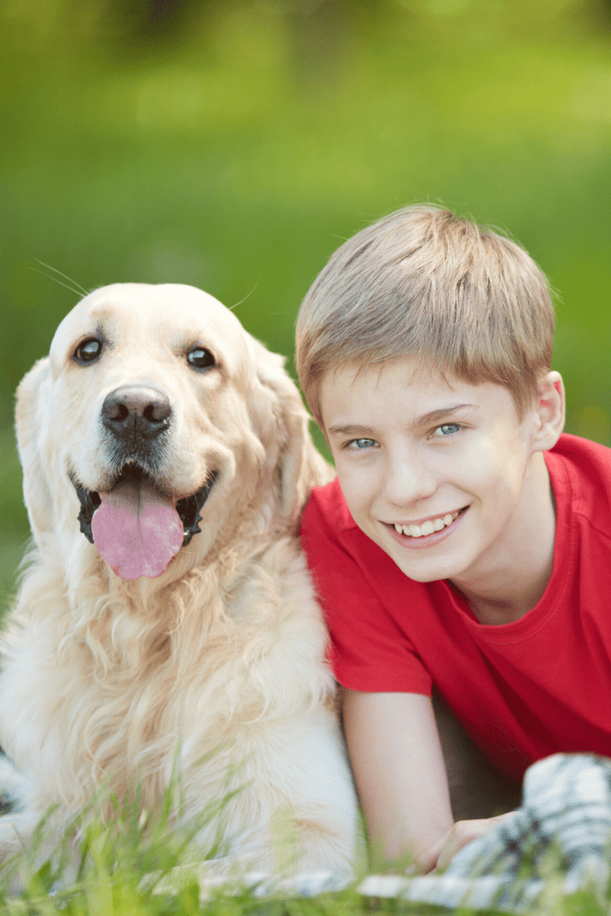 Who Is the Labrador Retriever For