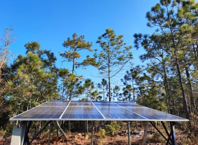 Mikroinvertory vs. centrální invertory: Co zvolit pro vaši fotovoltaiku?, Woltair