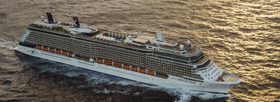 Celebrity Reflection