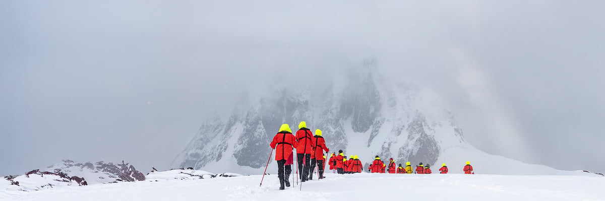 Kom tæt på naturen i Antarktis