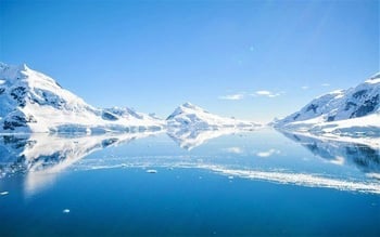 Antarctica - Elephant Island