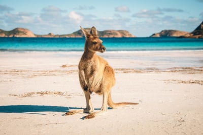 Australien/New Zealand