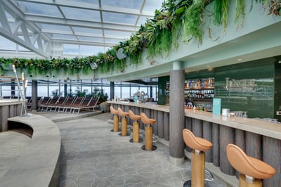 Bars & lounges