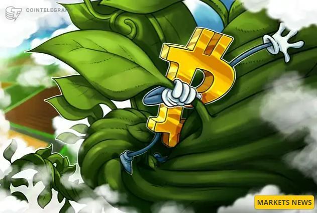 grab money.jpg