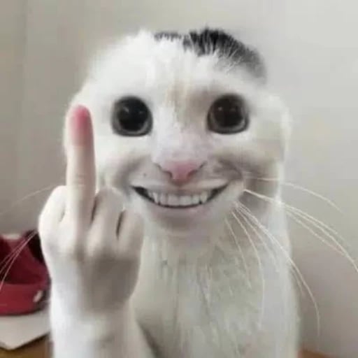 红尘飞