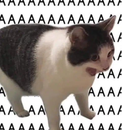 KITTENGER
