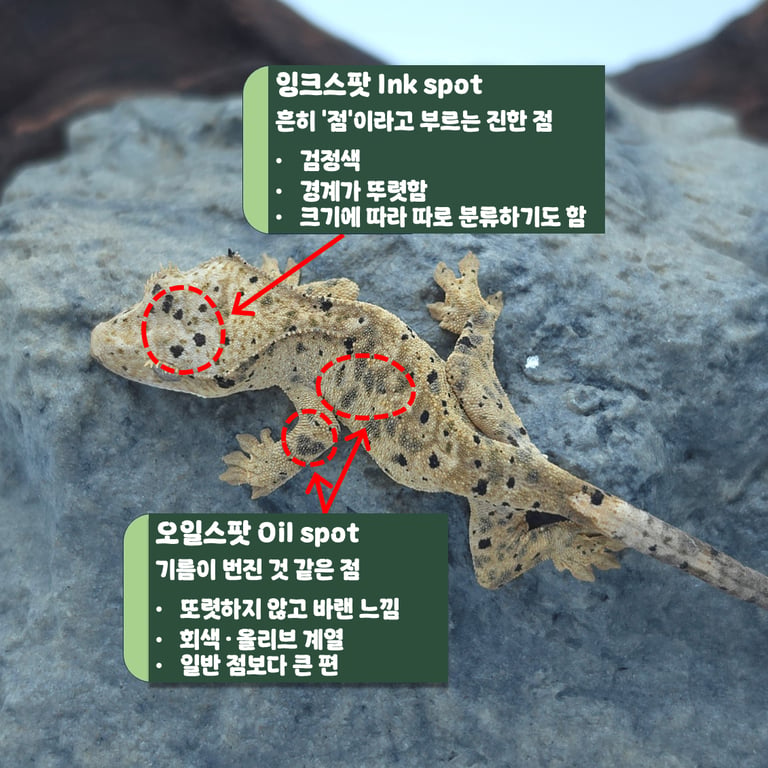 슬라이드3