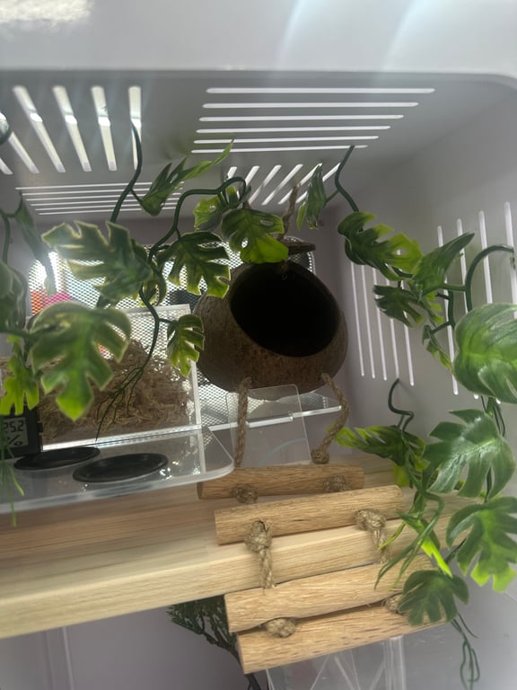 KakaoTalk_20260923_163854227_07