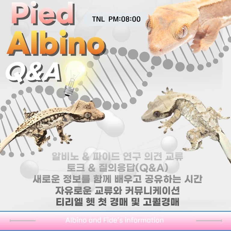 KakaoTalk_20260702_200715319