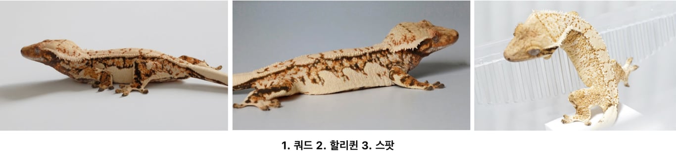 스크린샷 2026-09-28 오후 7.21.34