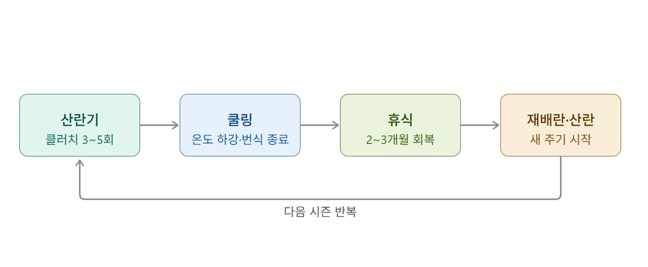 스크린샷 2026-07-16 132823