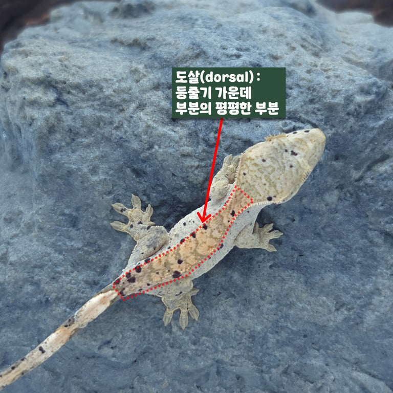 슬라이드8