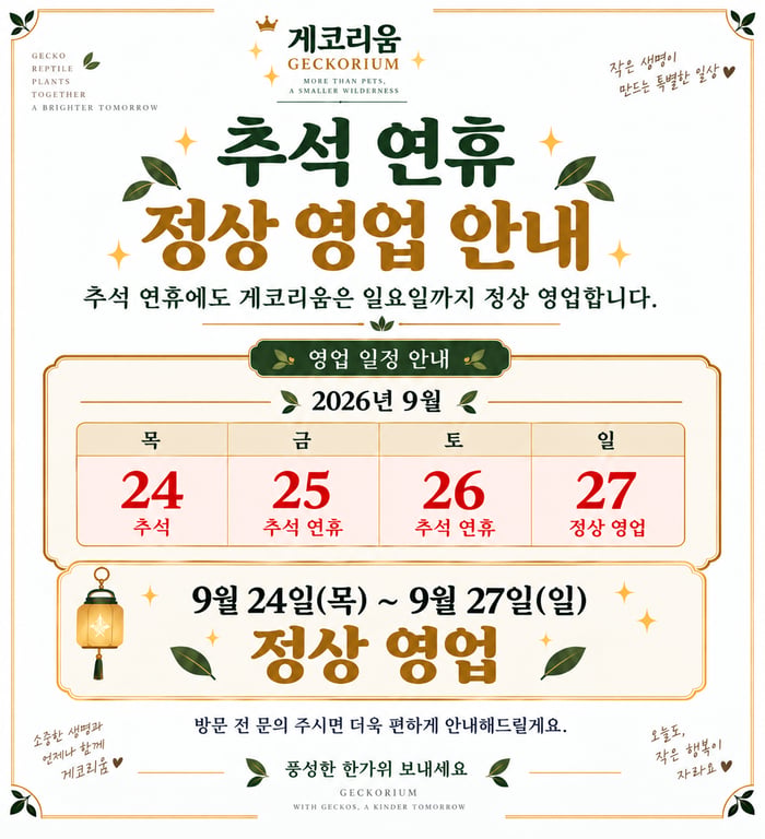 KakaoTalk_20260923_173349418