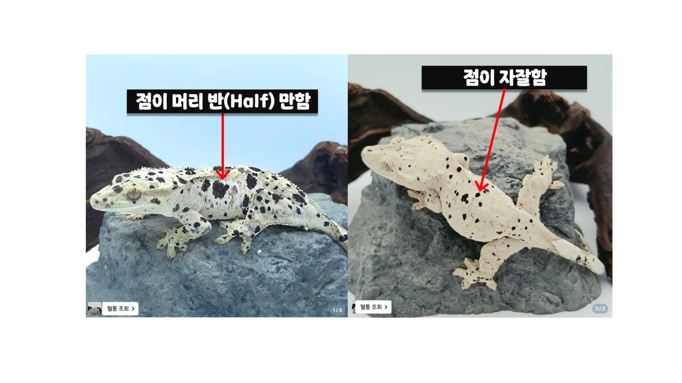 슬라이드3
