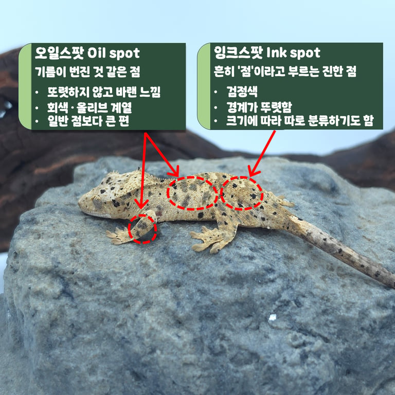 슬라이드2