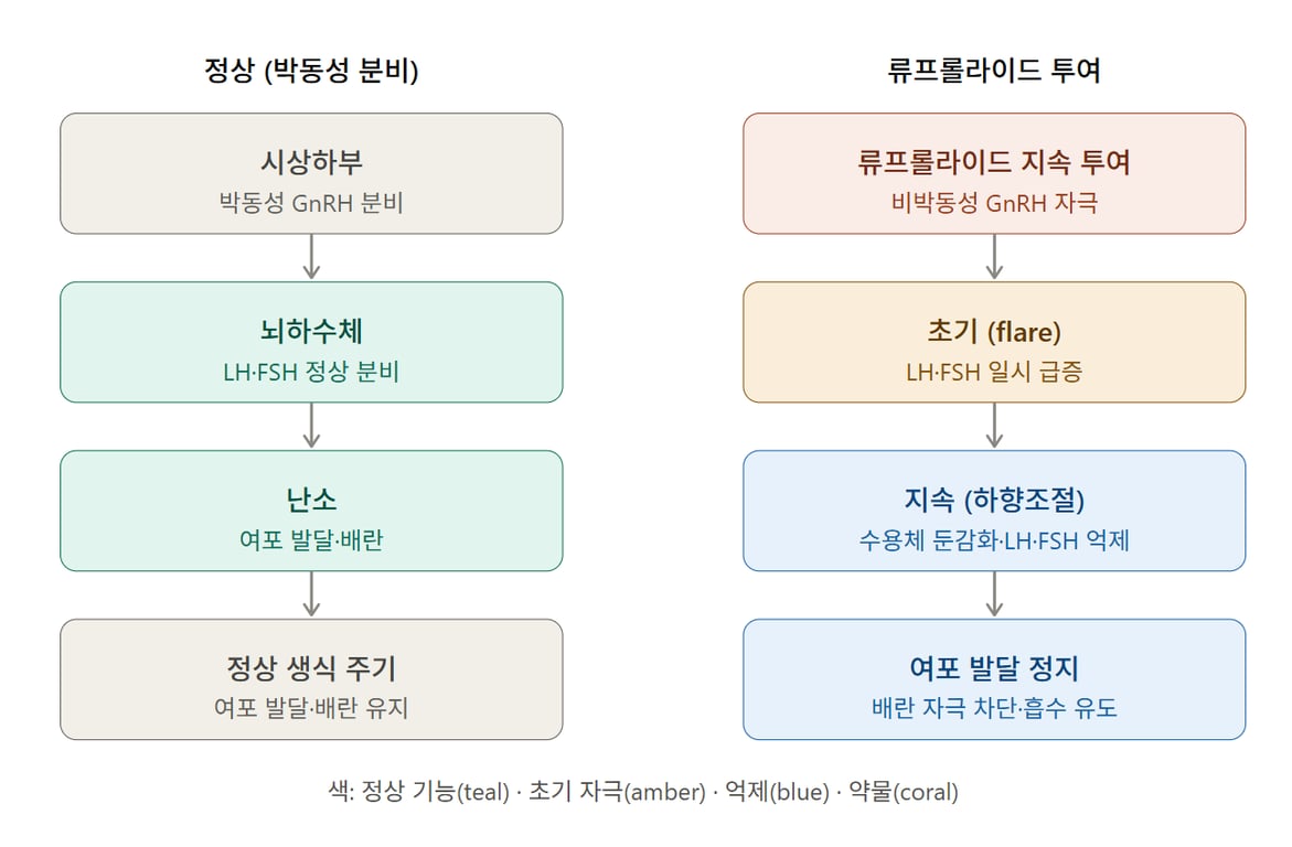 스크린샷 2026-07-16 131332