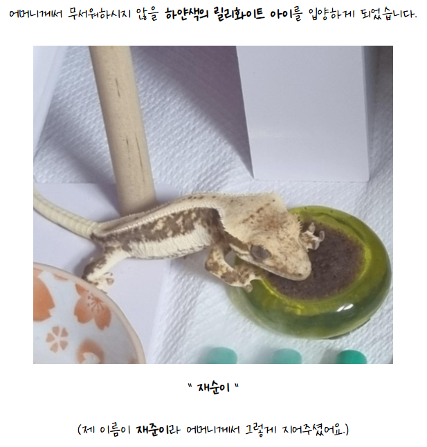 image (6)
