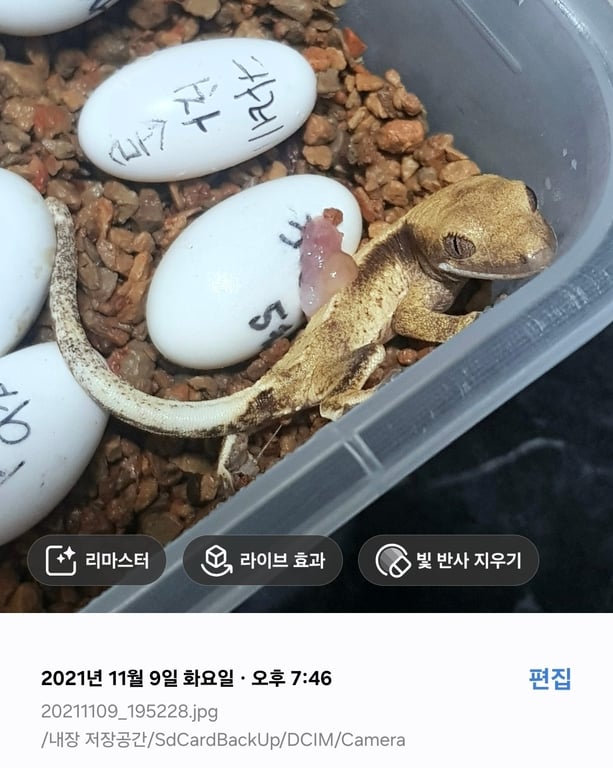 증거자료