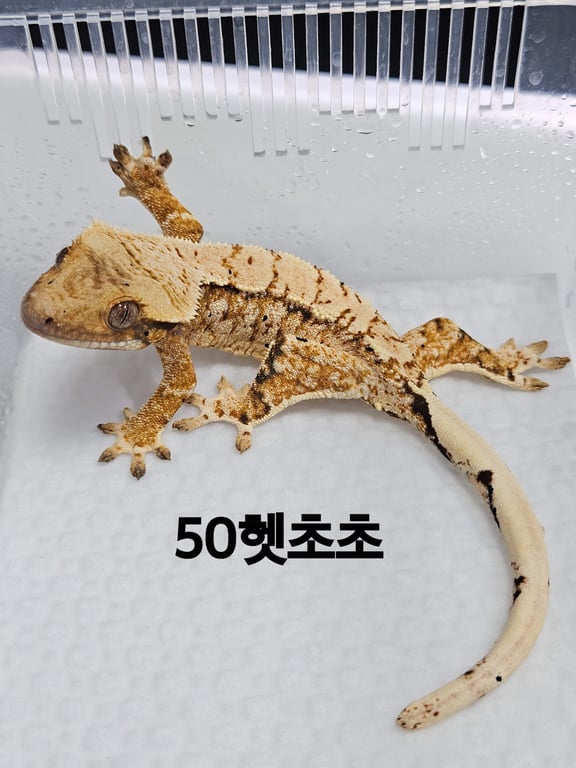 5E1DD72D-5349-4735-A0D2-A7BA6AA0F4D3