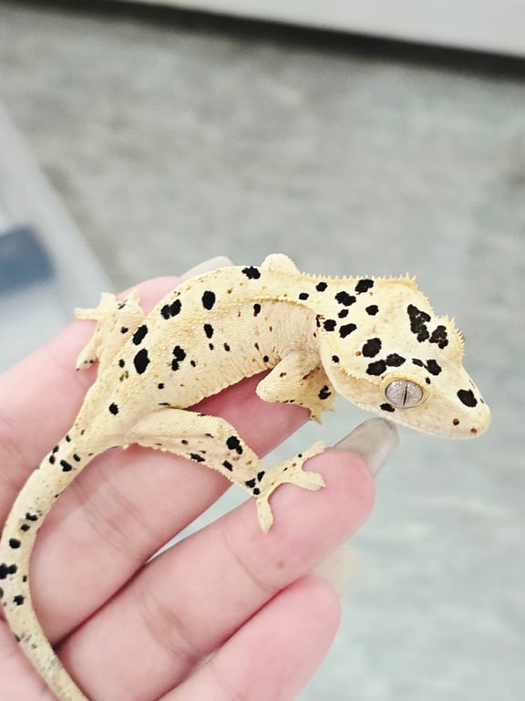 KakaoTalk_20260729_143854951_07