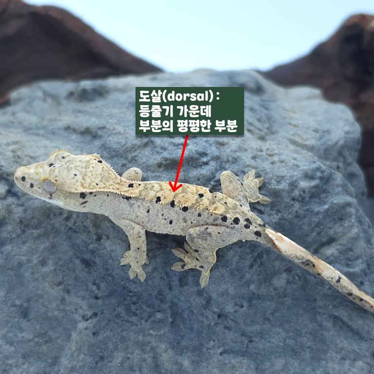 슬라이드9