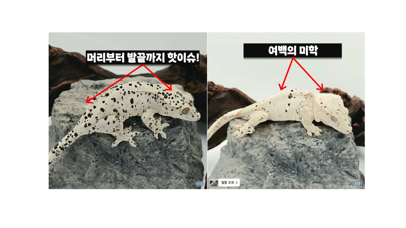 슬라이드5