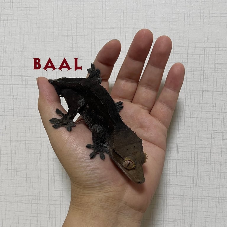 KakaoTalk_20220909_210844195