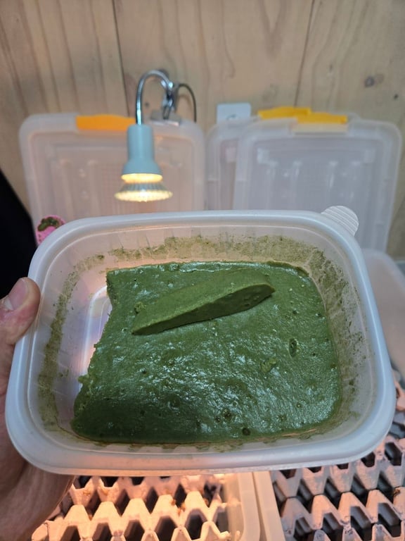 것로딩_레시피7