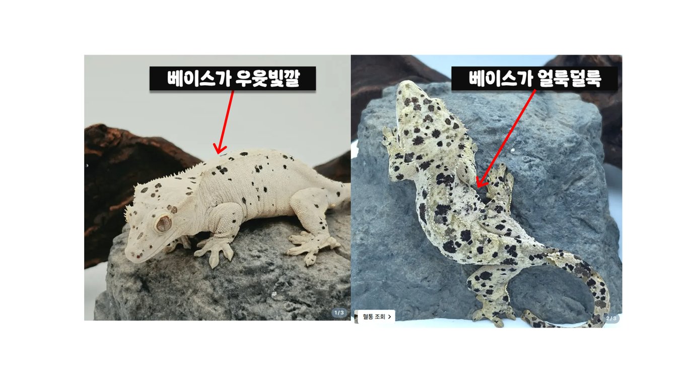 슬라이드2