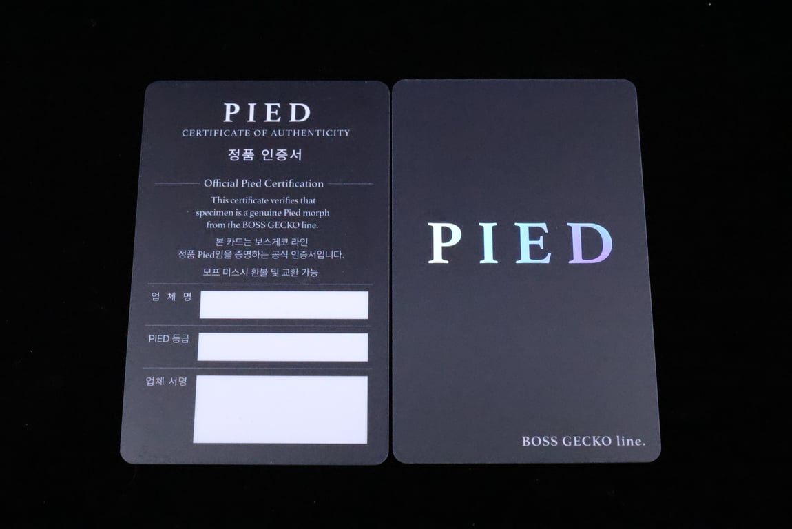 16059
