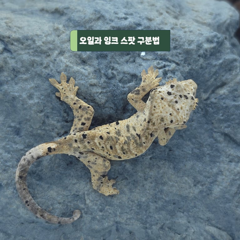 슬라이드1