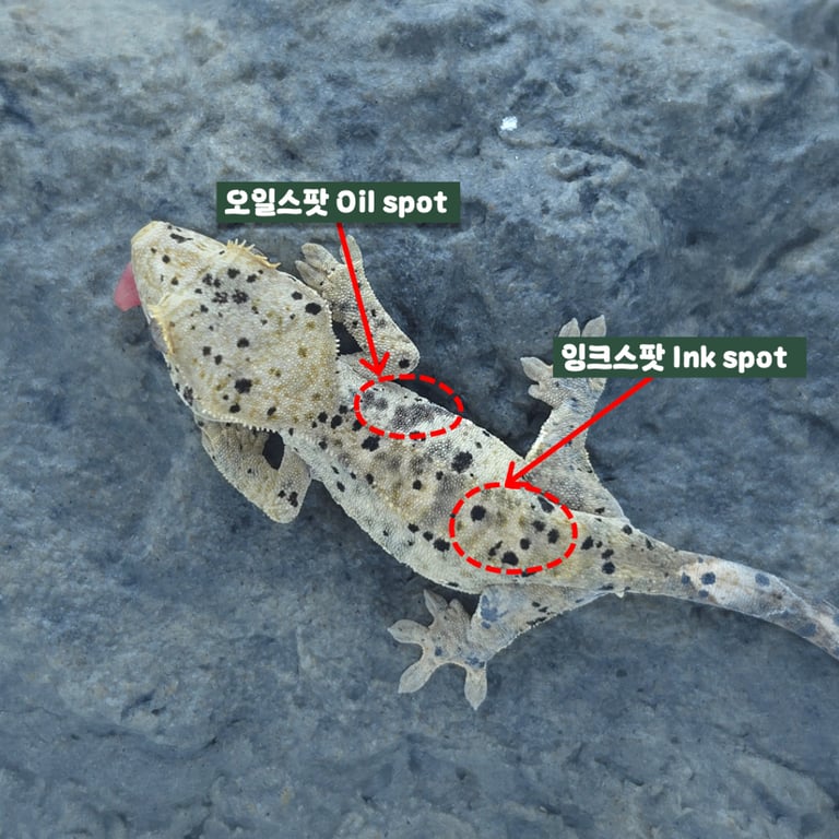 슬라이드4