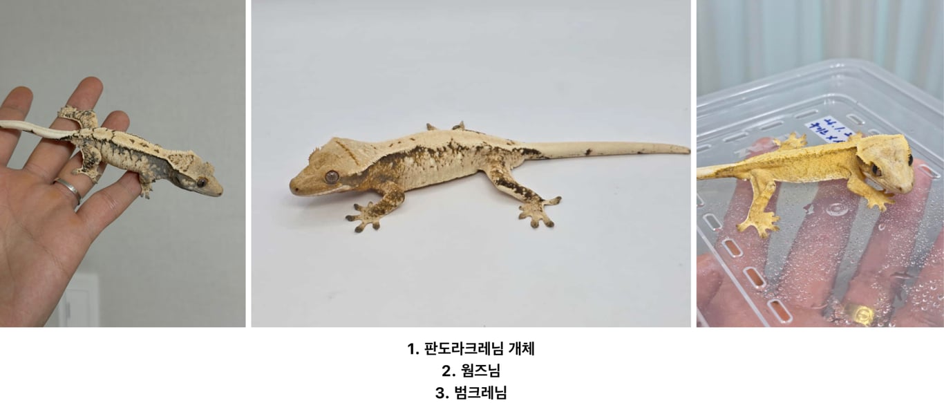 스크린샷 2026-09-28 오후 7.24.07