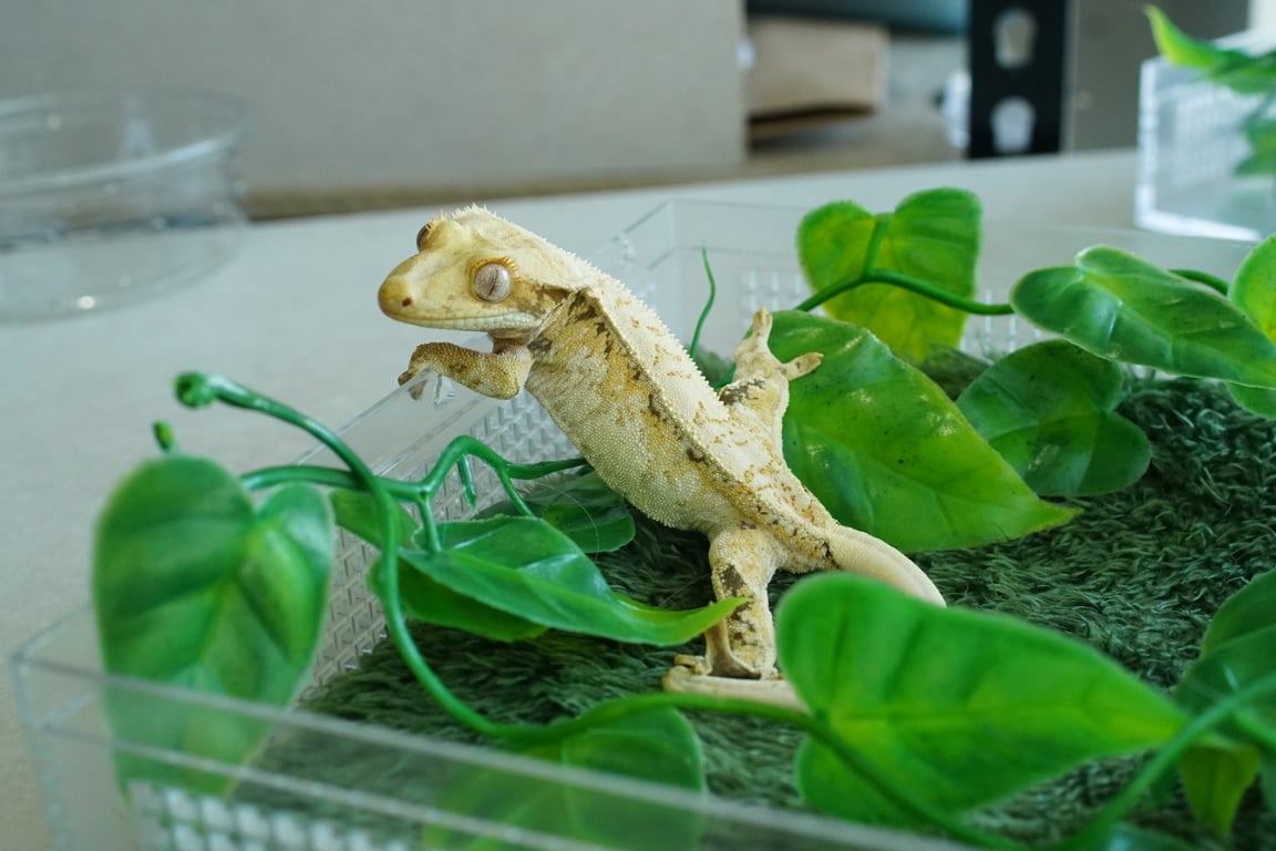 KakaoTalk_20260503_165517778_13
