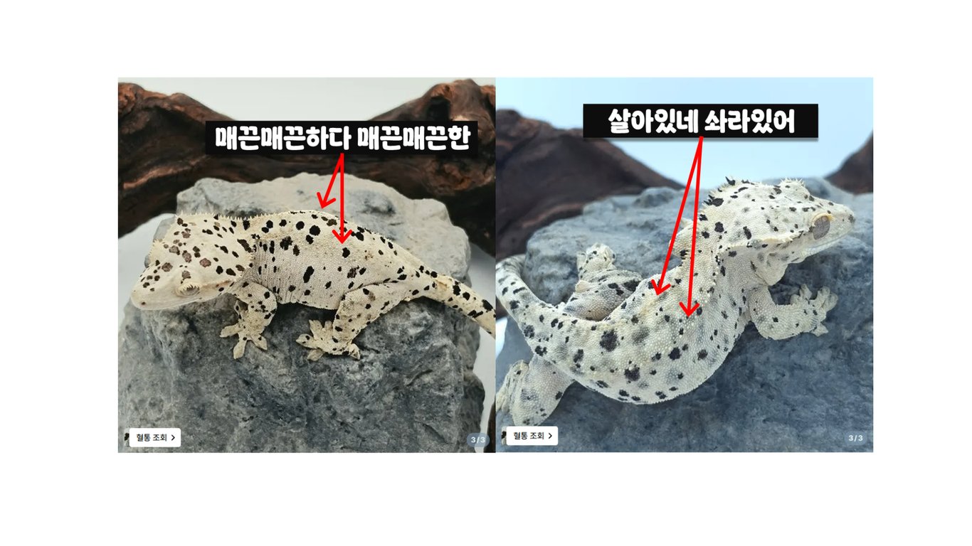 슬라이드4