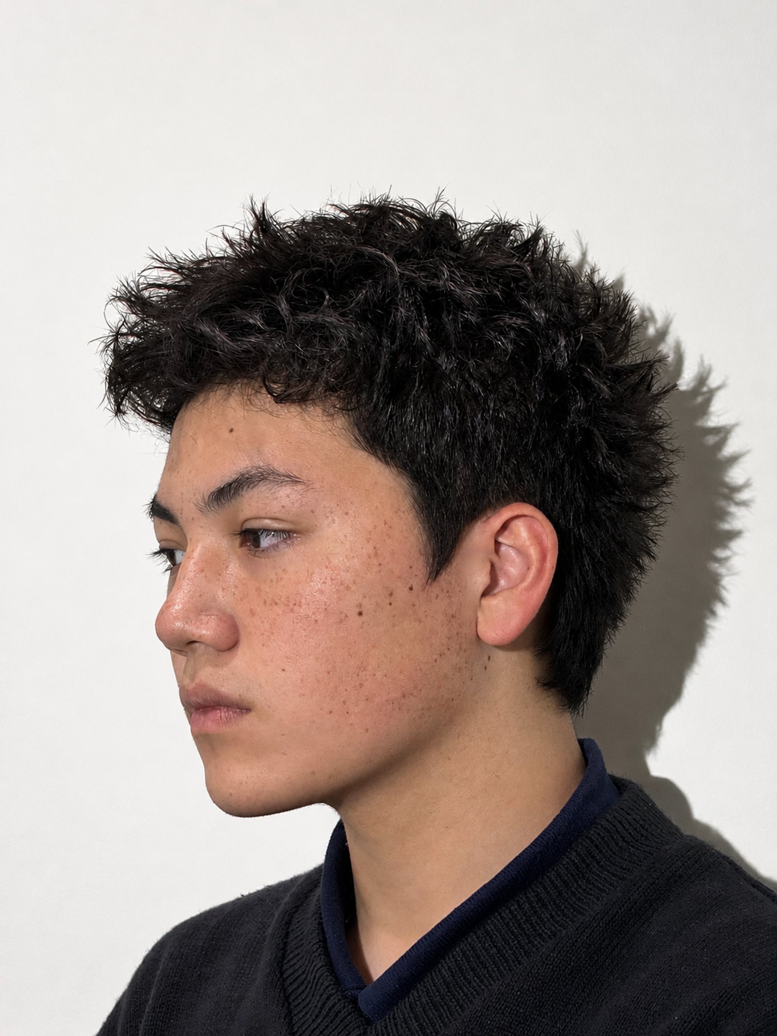 Textured hairstyle with defined curls and a clean profile.