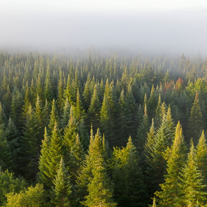 Vermont Land Trust