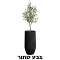 כד הידרה כולל עץ זית